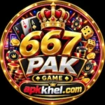 667PAK Game down;oad