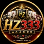 HZ333 Game Download latest version in Pakistan