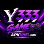 Y333 Game