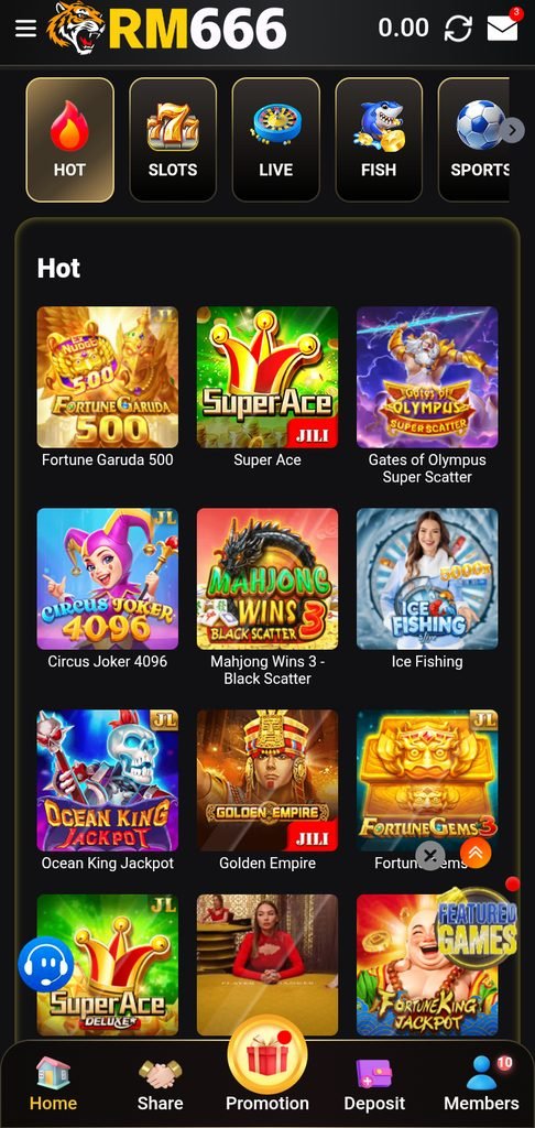 rm6661-game