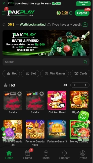 PLAYPAK Game APK
